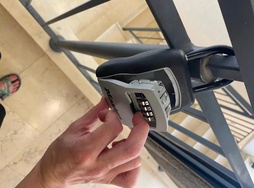 Image 4 of Jerusalems Nest