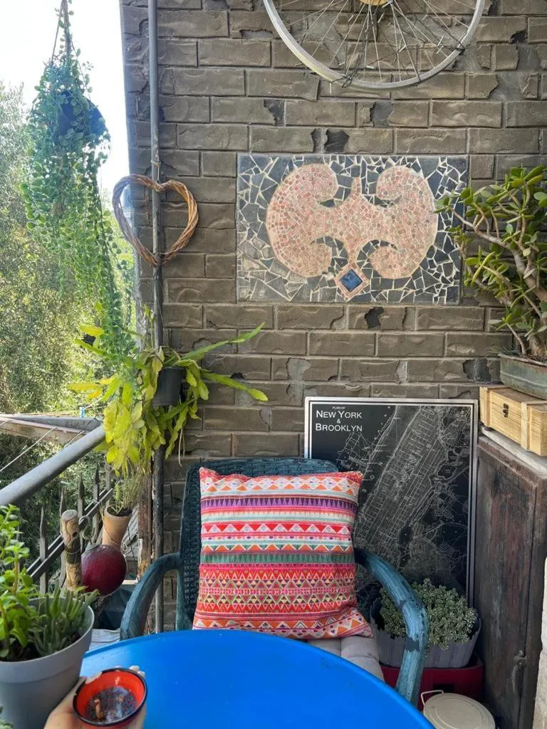 Image 6 of נרקיס NARKIS